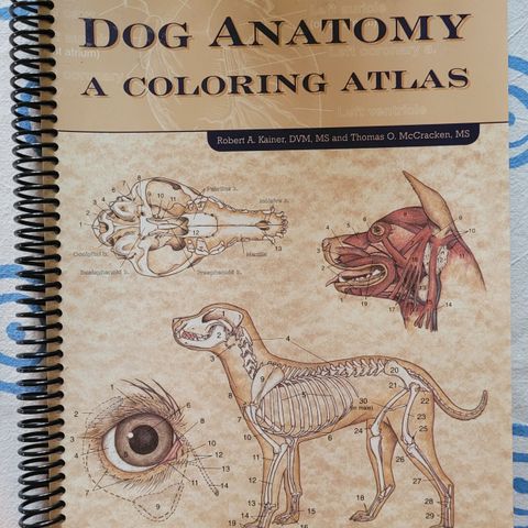 Dog Anatomy a coloring atlas.