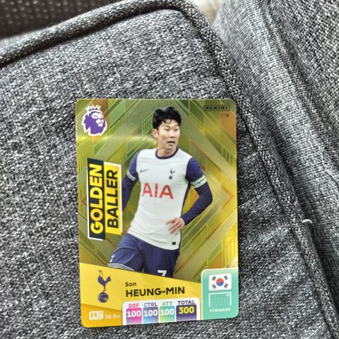 Son Heung-Min Premier League kort 2025