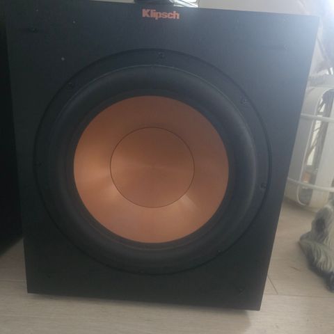 Klipsch R 12 SW Subwoofer