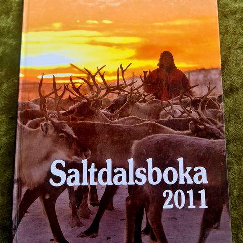 Saltdalsboka 2011. Som ny