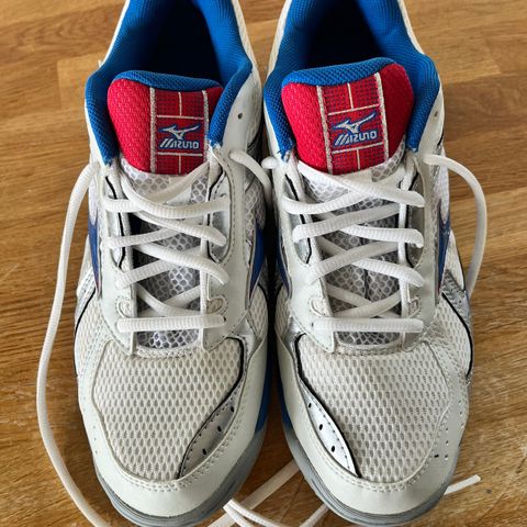 Gir bort pent brukte MIZUNO joggesko, str 41