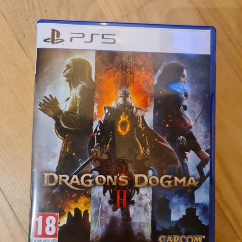 Dragons dogma PS5