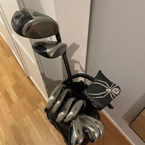 Links Golfsett med Driver, 3wood, 7 jern, putter og bag.