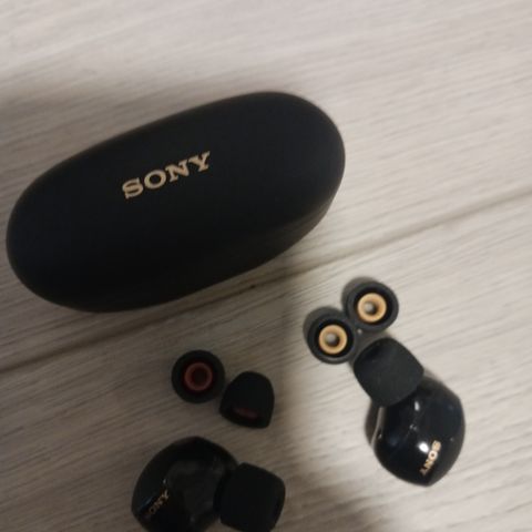 Sony wf1000xm5