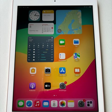 iPad 6 gen 128GB