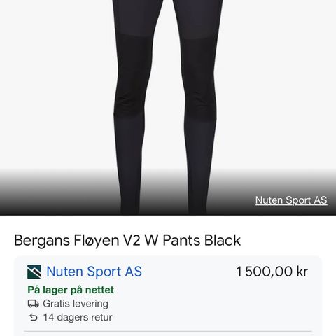 Bergans Fløyen V2 W Pants 