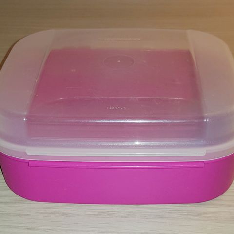 Ønsker å kjøpe Tupperware boks 20x15x9 cm