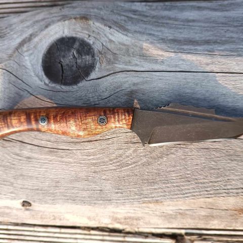 Semper Sharp - Honey Badger Tanto kniv