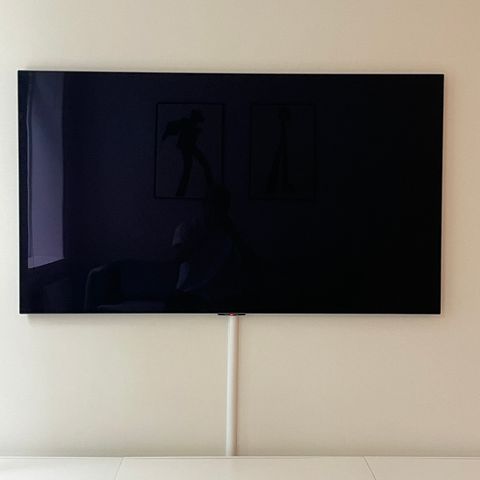 LG 55" 4K OLED TV