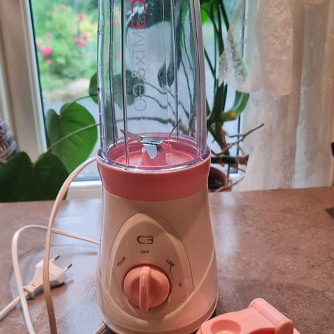 Rosa C3 Mix & Go blender