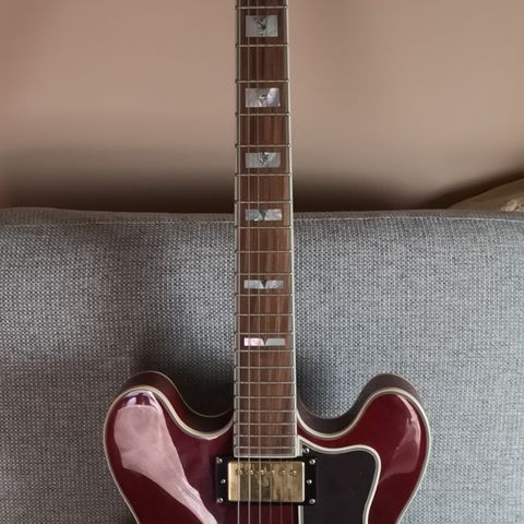 Epiphone Sheraton-II pro wine red (CF)