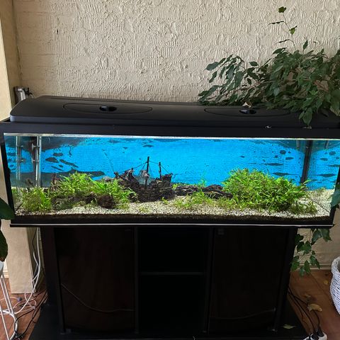 Akvarium