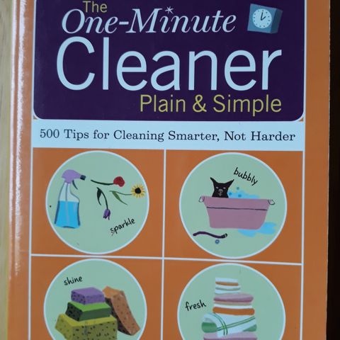 One-minute Cleaner Plain and Simple: 500 Tips