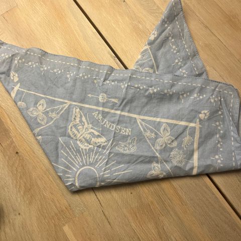 Amundsen bandana