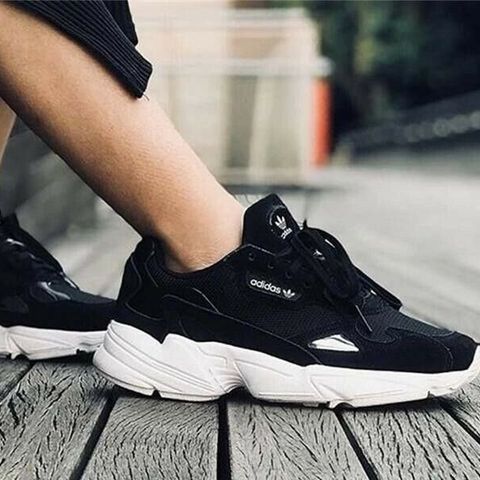 Adidas falcon