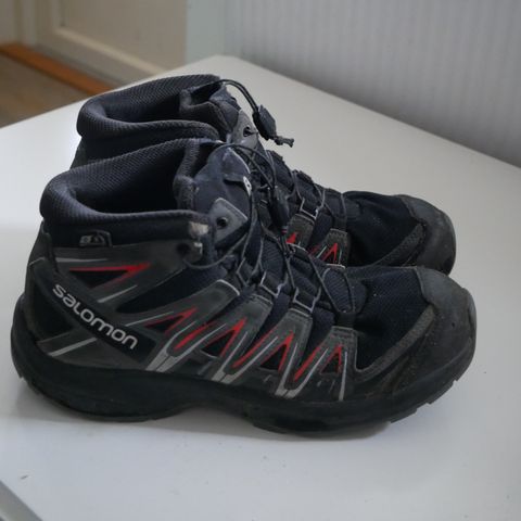 Salomon Xa Pro medium tursko str. 36