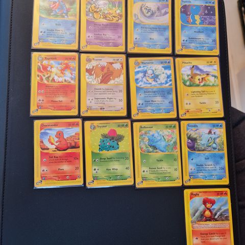 Pokemon expedition set