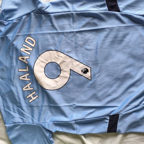 Haaland's Manchester City 24-25 (Size L)