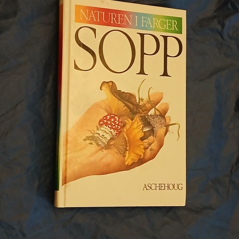 Naturen i farger: Sopp