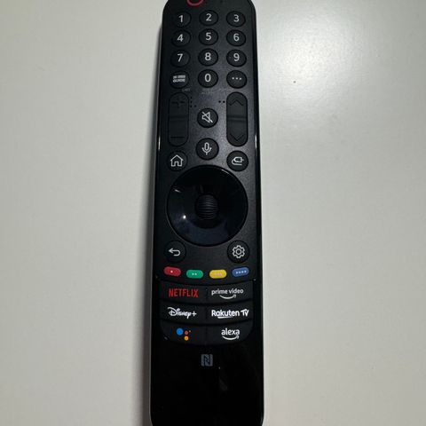 LG 2022 Magic Remote MR22GN