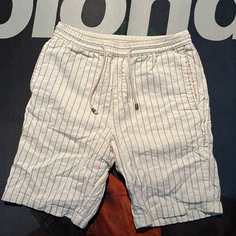 Zara shorts