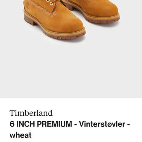 Nye Timberland 6 in Basic boot str 32