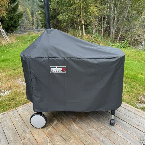 Weber Performer Deluxe GBS