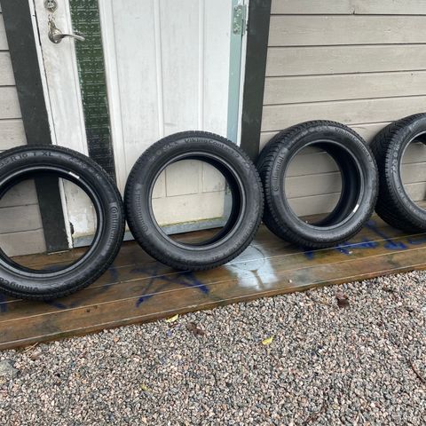 Vinterdekk 205/55 R16