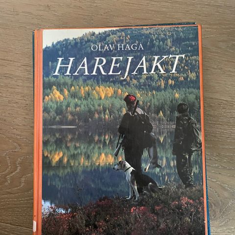 Harejakt