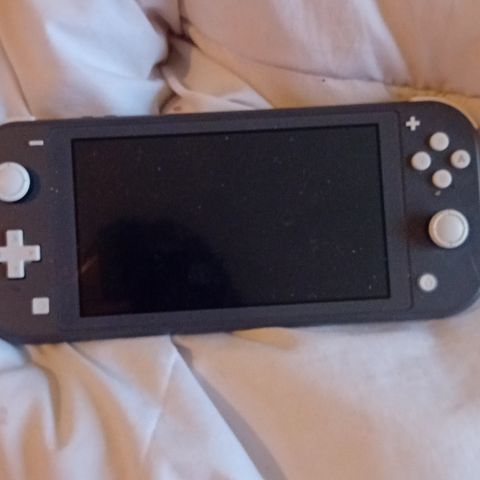 Nintendo switch lite med lader