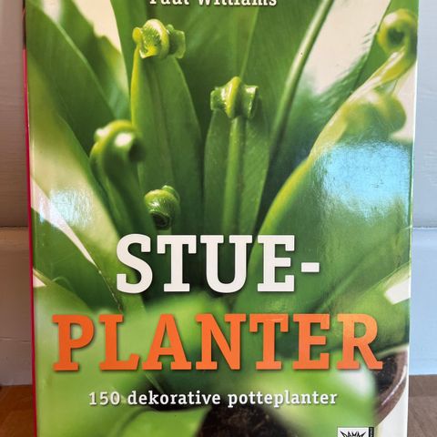 Stueplanter - 150 dekorative potteplanter