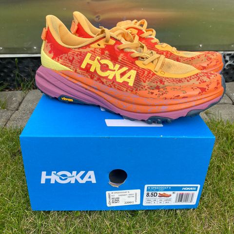 Hoka Speedgoat 6