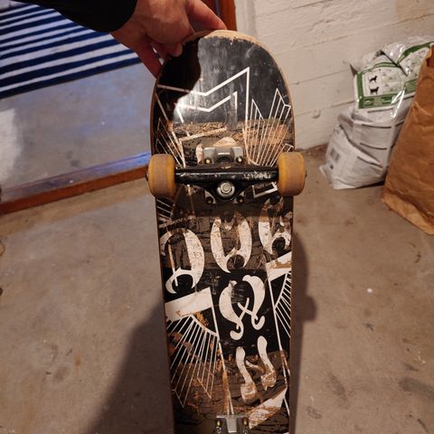 Dogtown skateboard