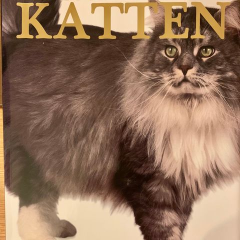 Den store boken om katten  - Bruce Fogle