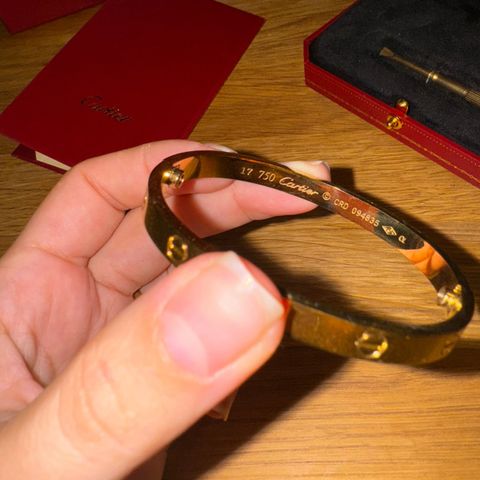 Cartier love bracelet