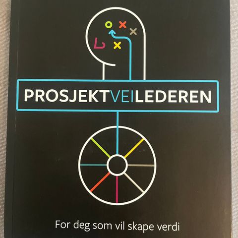 Prosjektveilederen