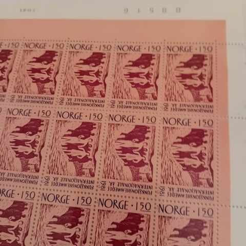 HELARK FRIMERKER NORGE NK 893 og 894 fra 1981 "FUNKSJONSHEMMEDES ÅR"