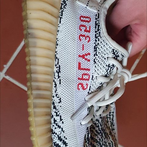 Yeezy zebra