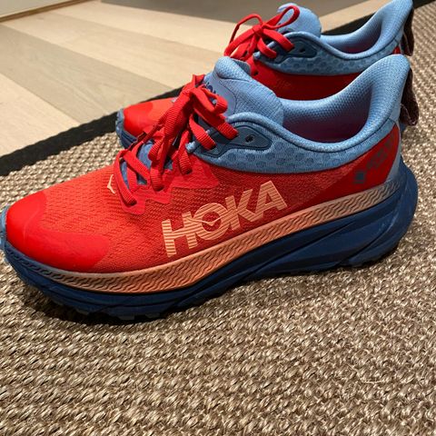 Hoka Challenger 7 GTX Str 39 1/3