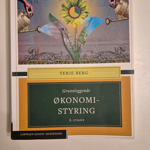 Grunnleggende Økonomistyring Terje Berg 3. Utg