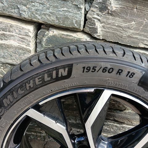 Michelin total performance e-primacy 195/60 r18