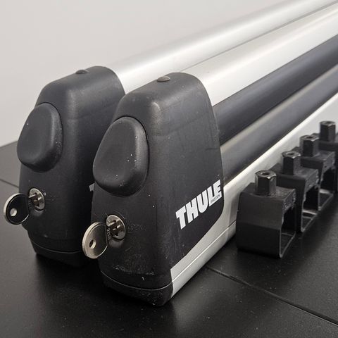 Thule skistativ