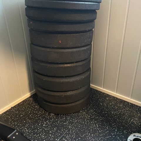 150kg/340lbs Rogue bumper plates