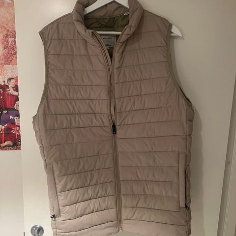 Vest