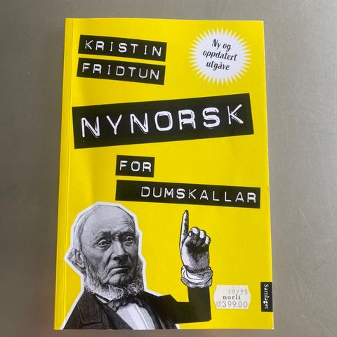 Nynorsk for dumskallar bok