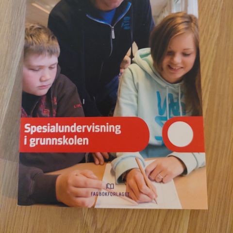 Spesialundervisning i grunnskolen - Wilson, Hausstatter og Lie