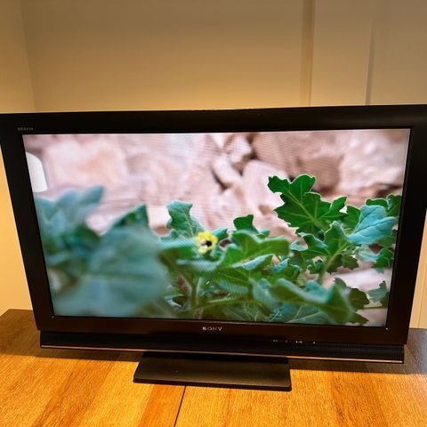 SONY BRAVIA TV