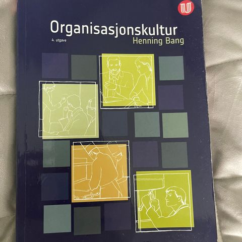 Organisajonskultur av Henning bang