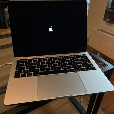 MacBook Pro 13 tommer