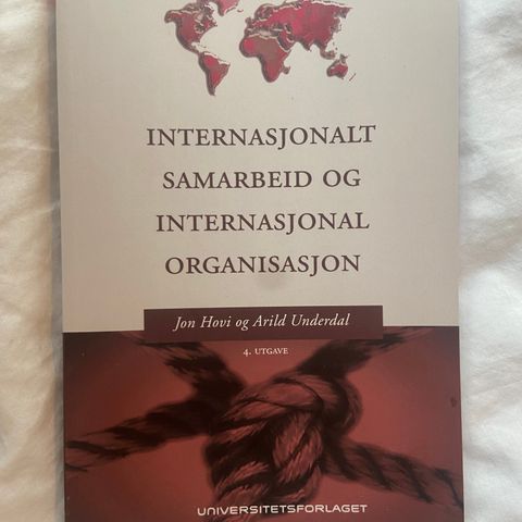 Internasjonalt Samarbeid og Internasjonal Organisasjon